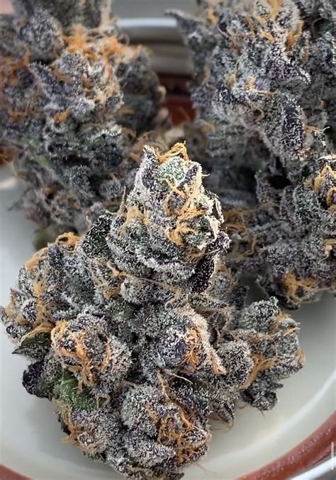 Coated in a plethora of trichomes that give it small patches of white throughout its flowers, this hybrid is a cross between two strains, Purple Punch and Jelly Breath. . London jelly strain allbud